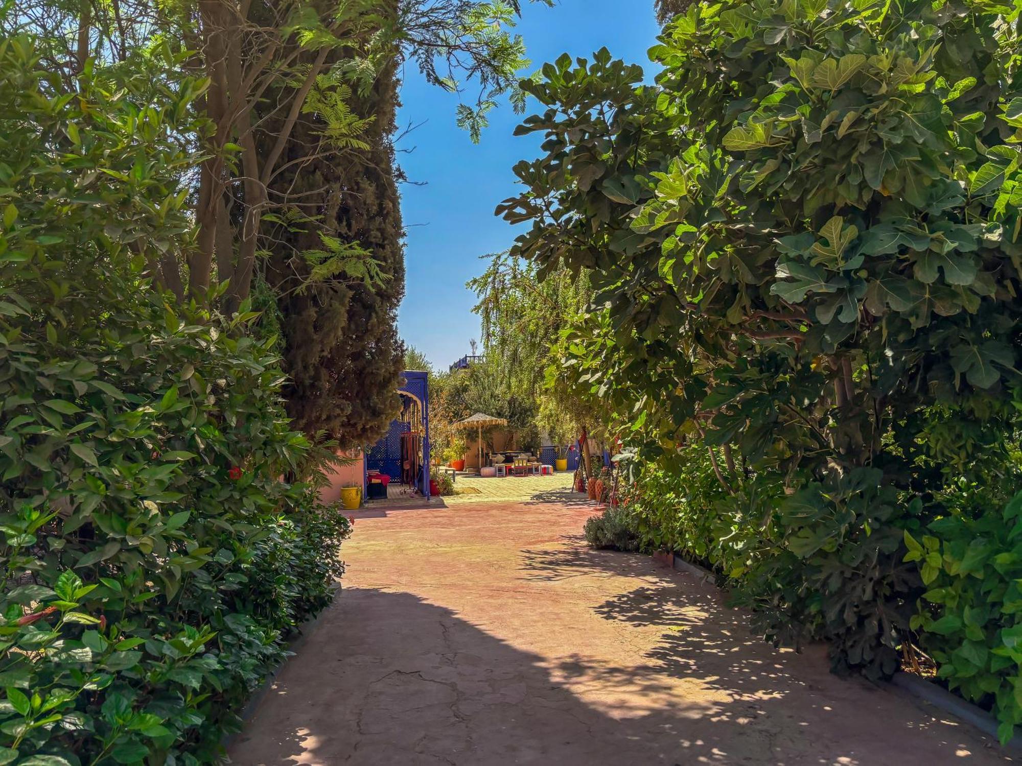 Le Bleu House Alojamento de Acomodação e Pequeno-almoço Sidi Abdallah Ghiat